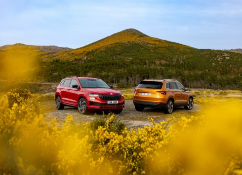 До свого 130-річчя Škoda запускає спеціальні моделі в Україні